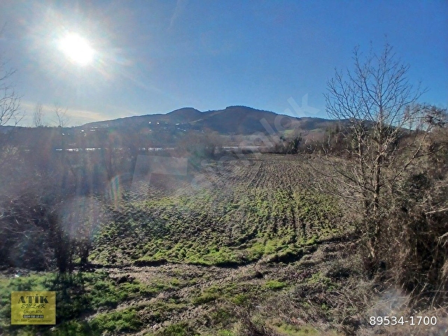 BARTIN AKÇAMESCİT KÖYÜ SATILIK TEK TAPU 543 M2 TARLA - Görsel 2