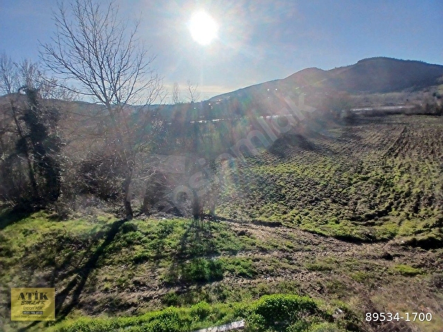 BARTIN AKÇAMESCİT KÖYÜ SATILIK TEK TAPU 543 M2 TARLA - Görsel 3