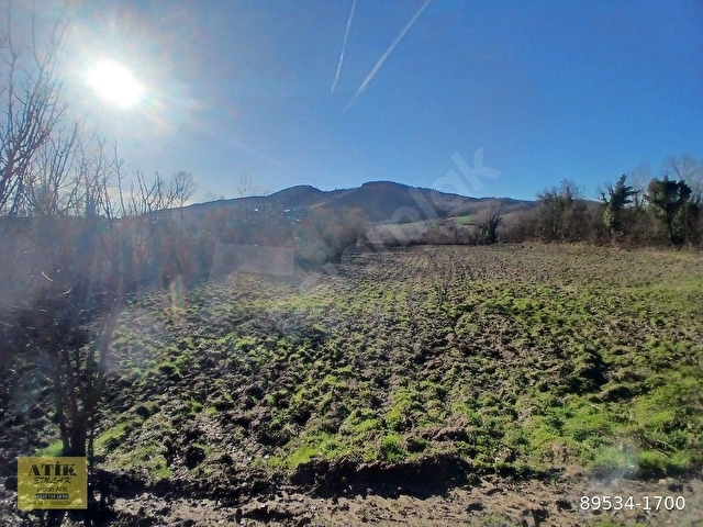 BARTIN AKÇAMESCİT KÖYÜ SATILIK TEK TAPU 543 M2 TARLA - Görsel 7