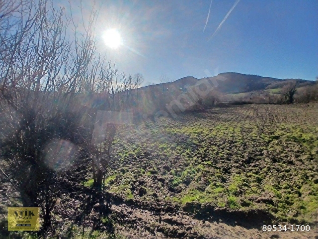 BARTIN AKÇAMESCİT KÖYÜ SATILIK TEK TAPU 543 M2 TARLA - Görsel 8