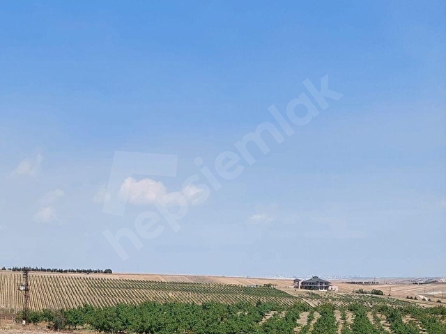 TEKİRDAĞ MARMARAEREĞLİSİ ÇEŞMELİ SATILIK 42.826m2 CEVİZ BAHÇESİ - Görsel 8