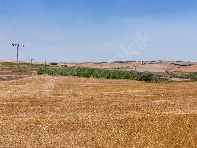 TEKİRDAĞ MARMARAEREĞLİSİ ÇEŞMELİ SATILIK 42.826m2 CEVİZ BAHÇESİ - Görsel 27