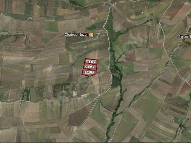 TEKİRDAĞ MARMARAEREĞLİSİ ÇEŞMELİ SATILIK 42.826m2 CEVİZ BAHÇESİ - Görsel 4