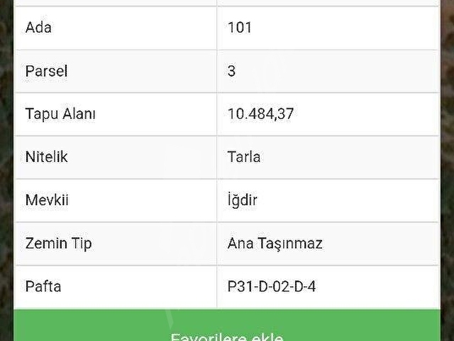Aslan Can Gayrimenkul den Gülnar Koçaşlıda cazip yatırımlık satılık tarla - Görsel 2