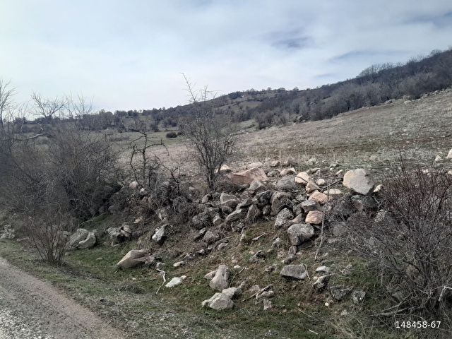 TAŞEMLAKTAN YAYCI KÖYÜ YOLA CEPHE SATILIK TARLA - Görsel 19