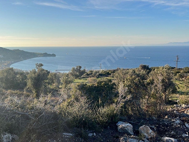 KARABURUNDA FULL DENİZE HAKİM 180 DERECE PANORAMİK MANZARALI TARLA - Görsel 11
