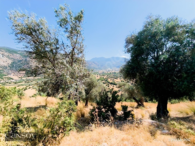 seydikemer izzetinde 981 m2 satılık manzaralı parsel - Görsel 2
