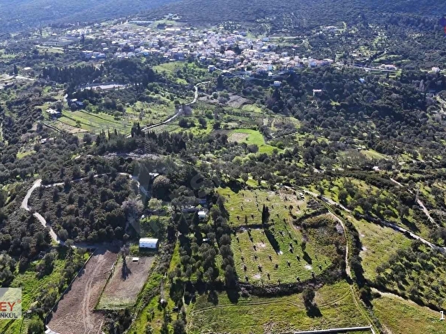 Inecik köyünde 4700 m2 zeytin ağaçlı tarla - Görsel 7