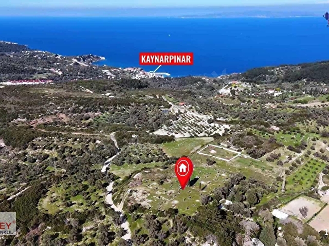 Inecik köyünde 4700 m2 zeytin ağaçlı tarla - Görsel 15