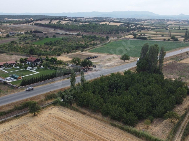 ÇANAKKALE EZİNE BAYRAMİÇ YOLUNA CEPHE VERİMLİ CEVİZLİK - Görsel 21