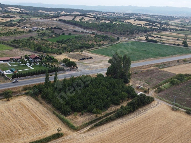 ÇANAKKALE EZİNE BAYRAMİÇ YOLUNA CEPHE VERİMLİ CEVİZLİK - Görsel 19