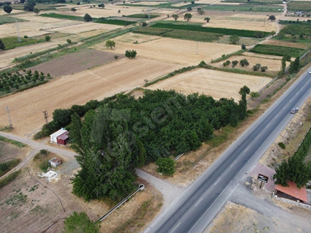 ÇANAKKALE EZİNE BAYRAMİÇ YOLUNA CEPHE VERİMLİ CEVİZLİK - Görsel 10