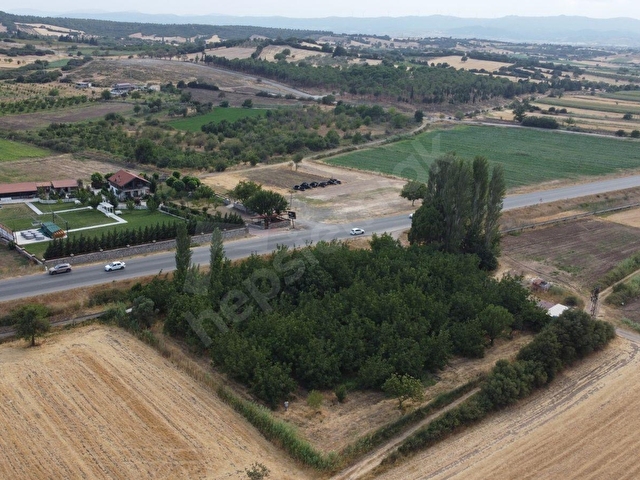 ÇANAKKALE EZİNE BAYRAMİÇ YOLUNA CEPHE VERİMLİ CEVİZLİK - Görsel 20