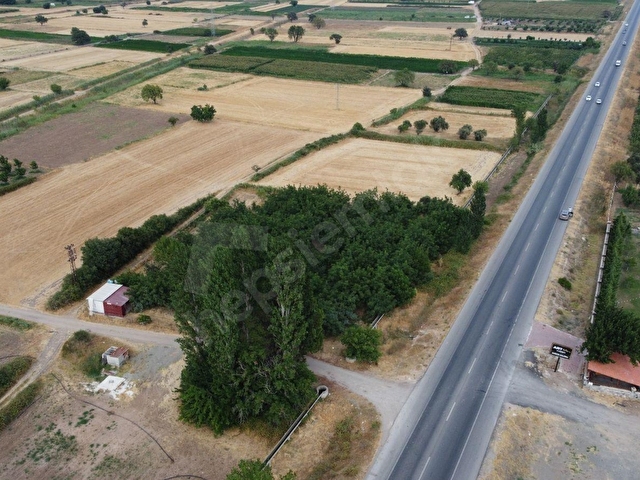 ÇANAKKALE EZİNE BAYRAMİÇ YOLUNA CEPHE VERİMLİ CEVİZLİK - Görsel 11