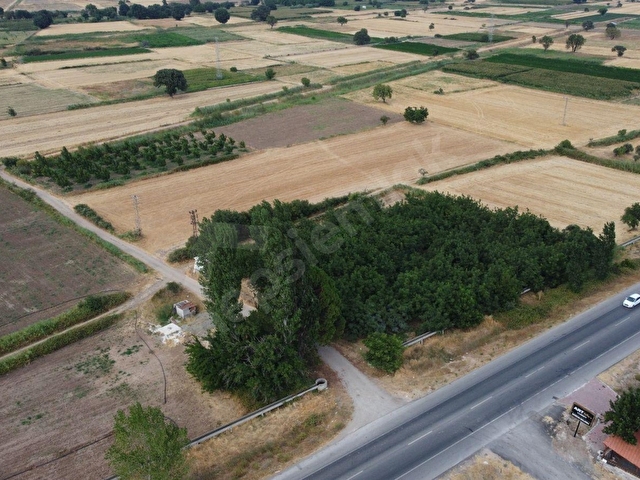 ÇANAKKALE EZİNE BAYRAMİÇ YOLUNA CEPHE VERİMLİ CEVİZLİK - Görsel 5