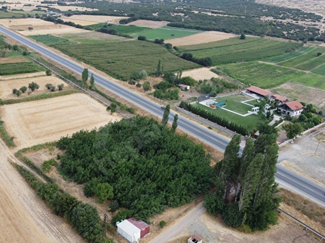 ÇANAKKALE EZİNE BAYRAMİÇ YOLUNA CEPHE VERİMLİ CEVİZLİK - Görsel 13