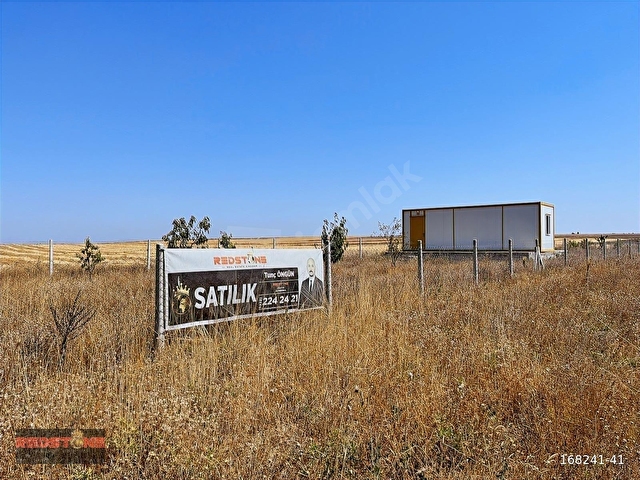 Eskişehir Akpınar Yola Cepheli Satılık Tarla - Görsel 2