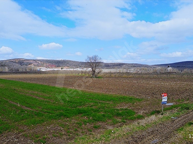 REMAX RIDVAN GEDİKTEN SÖĞÜTLÜ KURUDİLDE SATILIK 6.931 M2 TARLA - Görsel 29