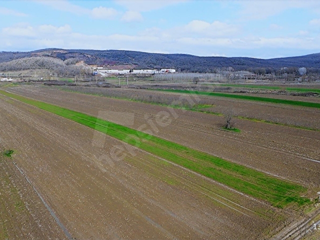REMAX RIDVAN GEDİKTEN SÖĞÜTLÜ KURUDİLDE SATILIK 6.931 M2 TARLA - Görsel 17
