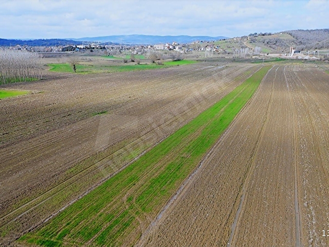 REMAX RIDVAN GEDİKTEN SÖĞÜTLÜ KURUDİLDE SATILIK 6.931 M2 TARLA - Görsel 23