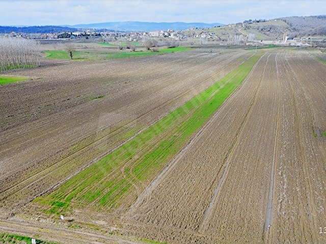 REMAX RIDVAN GEDİKTEN SÖĞÜTLÜ KURUDİLDE SATILIK 6.931 M2 TARLA - Görsel 24