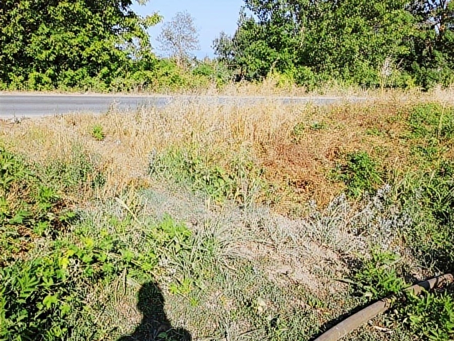 çökeklerde yol kenarı 1480 metrekare arazi - Görsel 4