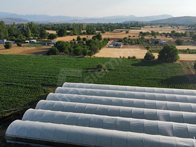 ISPARTA ATABEY İSLAMKÖY 4392 M2.TARLA VE 2250 M2 SERA SATILIK - Görsel 10