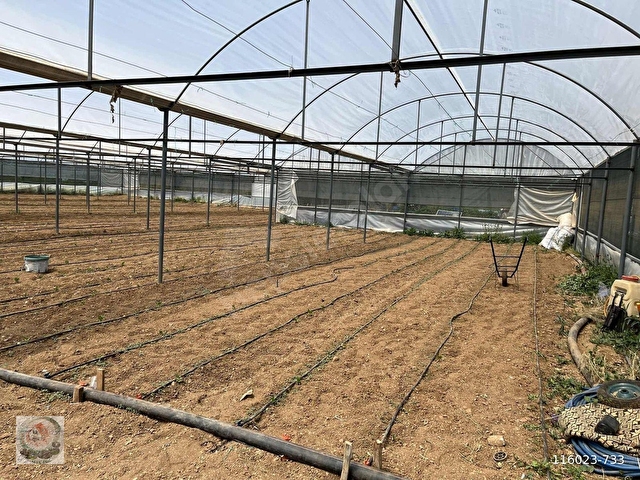 ISPARTA ATABEY İSLAMKÖY 4392 M2.TARLA VE 2250 M2 SERA SATILIK - Görsel 27