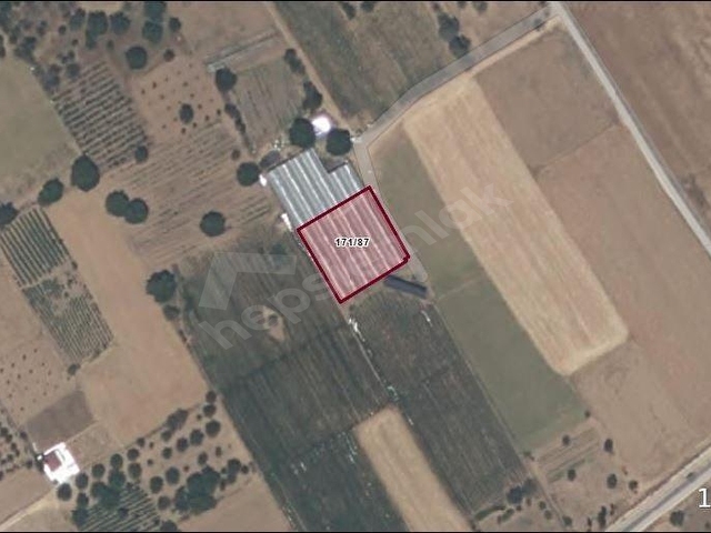 ISPARTA ATABEY İSLAMKÖY 4392 M2.TARLA VE 2250 M2 SERA SATILIK - Görsel 7