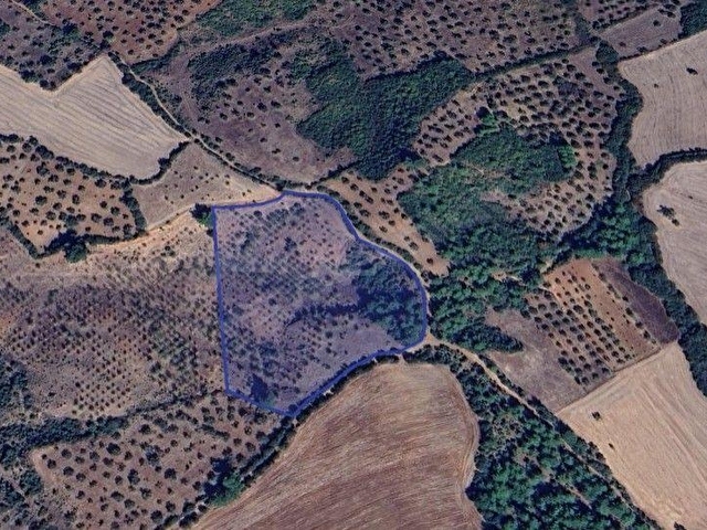 Çanakkale Bayramiç te Yatırımlık Tarla Satışta! - Görsel 7