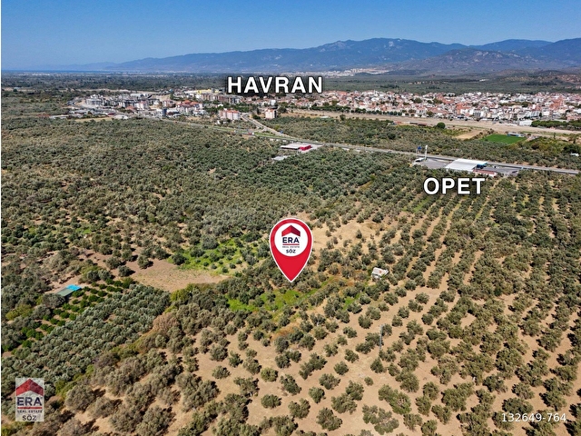 ERA SÖZ GAYRİMENKULDEN BALIKESİR HAVRAN’DA SATILIK  ZEYTİNLİK