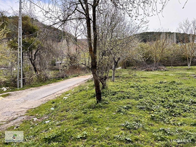 KÖYİÇİNDE ELEKTRİK SU MEVCUT ANAYOL CEPHELİ 303m2 - Görsel 6