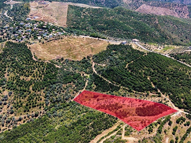 URLA BADEMLER 18 DÖNÜM TEK TAPU KIYMETLİ ARAZİ - Görsel 8