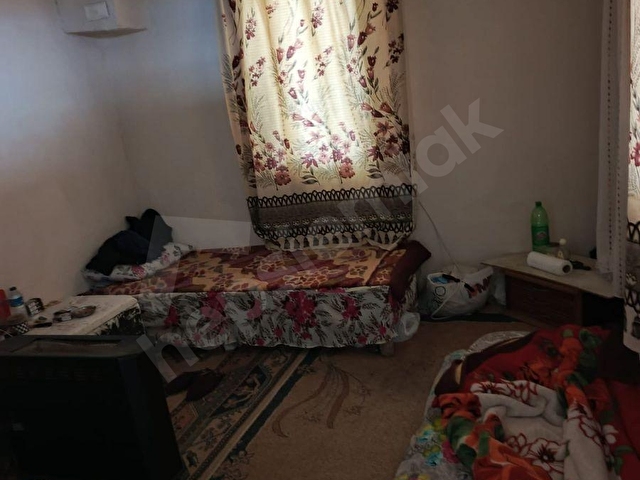 AYDIN GERMENCİK ALANGÜLLÜ MAHALLESİNDE ZEYTİNLİK - Görsel 8