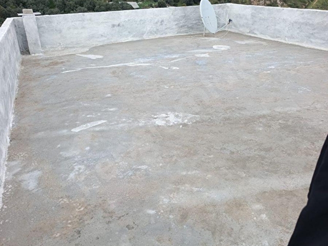 AYDIN GERMENCİK ALANGÜLLÜ MAHALLESİNDE ZEYTİNLİK - Görsel 10