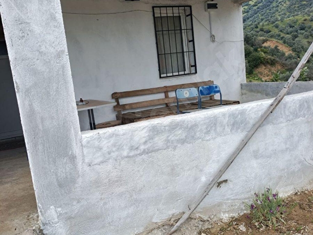 AYDIN GERMENCİK ALANGÜLLÜ MAHALLESİNDE ZEYTİNLİK - Görsel 15