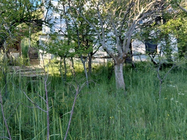 ANA YOLA CEPHE BAĞ EVİ - Görsel 9