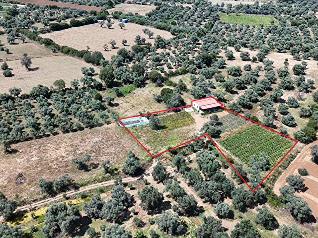 MEHMET YAZICIDAN ÖDEMİŞTE CENNET 3360M2 SATILIK ARSA VE EV - Görsel 14