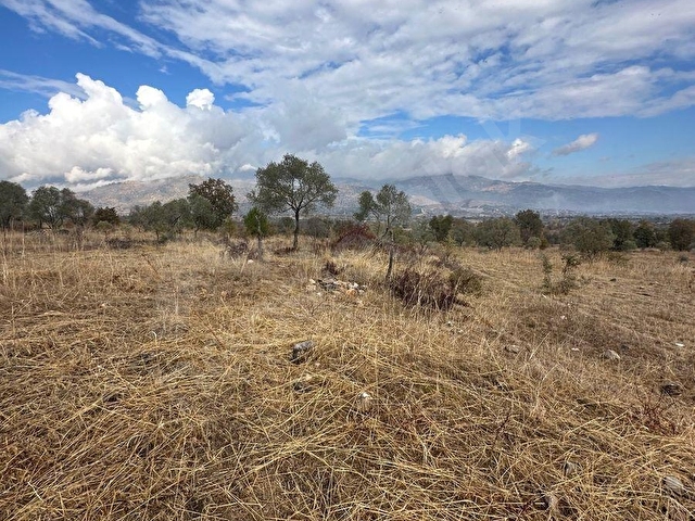 satılık  16637M2TARLA İÇİNDE 200 adet zeytin olan - Görsel 8