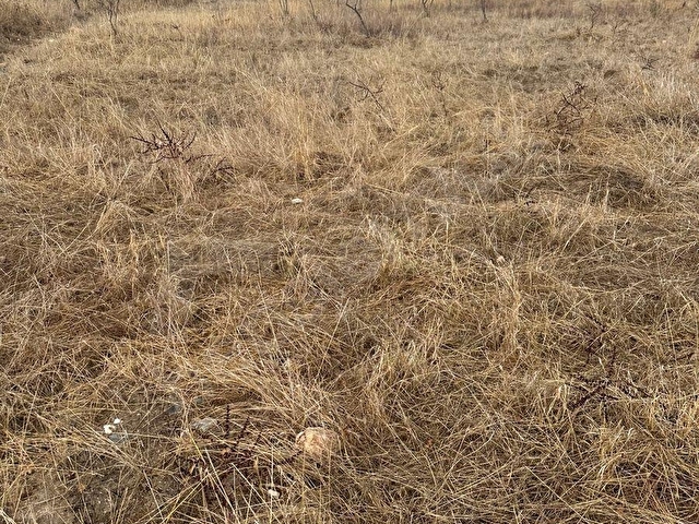 satılık  16637M2TARLA İÇİNDE 200 adet zeytin olan - Görsel 12