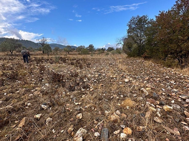 satılık  16637M2TARLA İÇİNDE 200 adet zeytin olan - Görsel 21