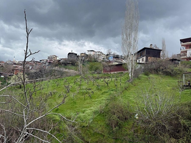 BABADAĞ CUMHURİYETTE BAKIMLI YAPI YAPILABİLEN BAĞ - Görsel 7