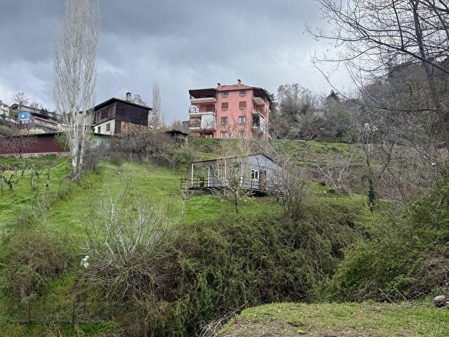 BABADAĞ CUMHURİYETTE BAKIMLI YAPI YAPILABİLEN BAĞ - Görsel 9