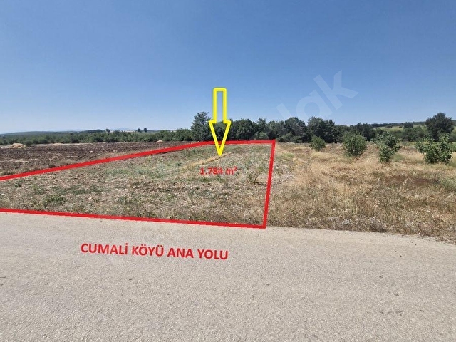 BİLECİK AKADEMİ EMLAK DANIŞMANLIĞIN`DAN SATILIK 1.784 m² TARLA