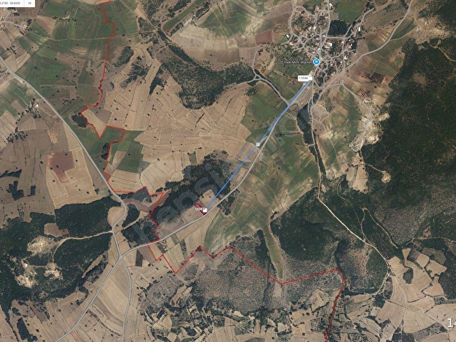 BİLECİK AKADEMİ EMLAK DANIŞMANLIĞIN`DAN SATILIK 1.784 m² TARLA - Görsel 7