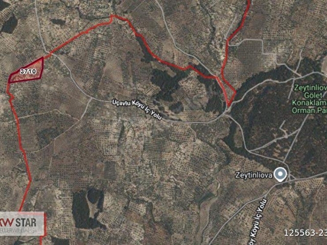 Akhisar Zeytinliovada Su Kaynaklı 20.200 m² Yatırımlık Zeytinlik - Görsel 23
