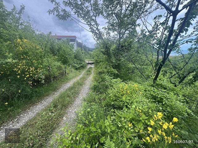 SİNOP TÜRKELİ OYMAYAKA KÖYÜ DENİZE 250M SATILIK 4450M2 TARLA - Görsel 12