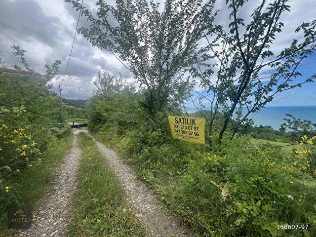 SİNOP TÜRKELİ OYMAYAKA KÖYÜ DENİZE 250M SATILIK 4450M2 TARLA - Görsel 22