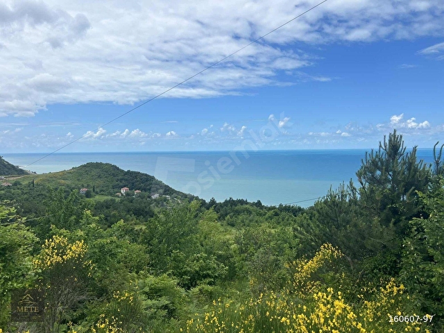 SİNOP TÜRKELİ OYMAYAKA KÖYÜ DENİZE 250M SATILIK 4450M2 TARLA - Görsel 11
