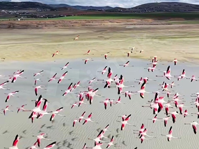 SATILIK VİLLA PARSELİ TEK TAPU KÖK TAPU KÖŞE 865M2 2KAT E0,20 - Görsel 10